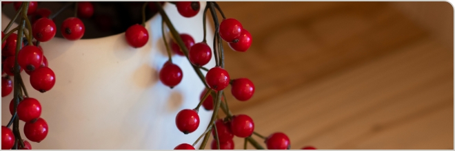 写真：植物の実